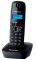 Радіотелефон DECT Panasonic KX-TG1611UAH Black Grey