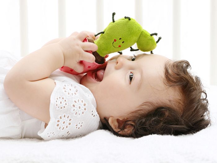 Іграшка-брязкальце Кактус sigikid рожевий 41435SK