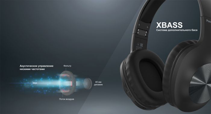 Навушники Panasonic RB-HX220BEES Over-ear Wireless Mic Сільвер