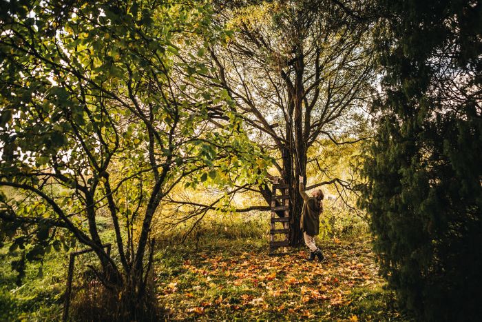 Fiskars Сучкоріз висотний PowerGear UPX86, 230см, 1900г, телескопічний