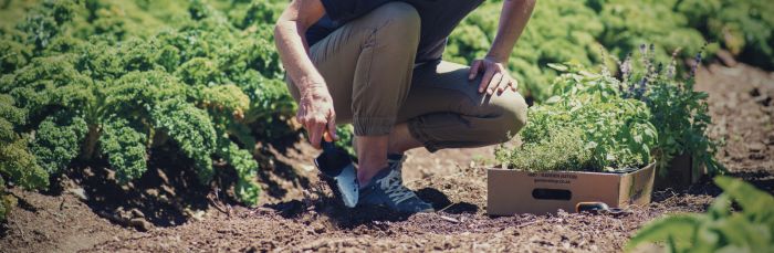 Fiskars Лопатка Premium Planters