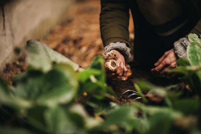 Fiskars Граблі ручні Xact