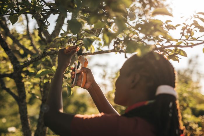 Fiskars Сікатор площинний PowerLever P751, 28,5см, 276гр металевий