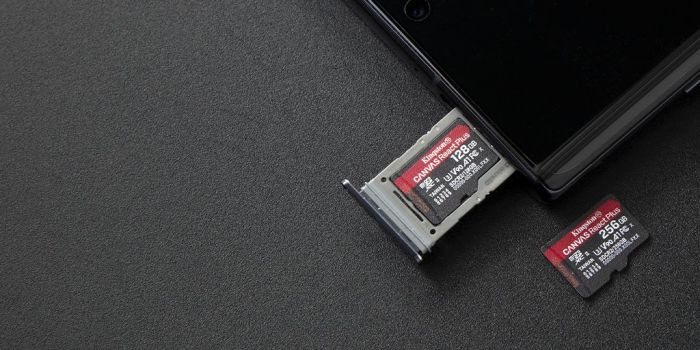 Карта пам'яті Kingston microSD   64GB C10 UHS-II U3 A1 R285/W165MB/s + MLPM Reader