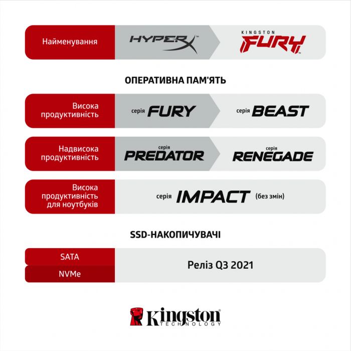 Пам'ять ПК Kingston DDR4 64GB KIT (32GBx2) 3000 FURY Beast