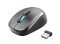 Миша Trust Yvi Dual-Mode WL Grey