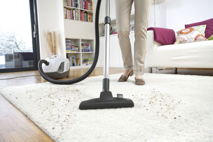 Пилосос з аквафільтром Karcher DS 6 Premium Plus, 650 Вт, 2л, 7.5 кг