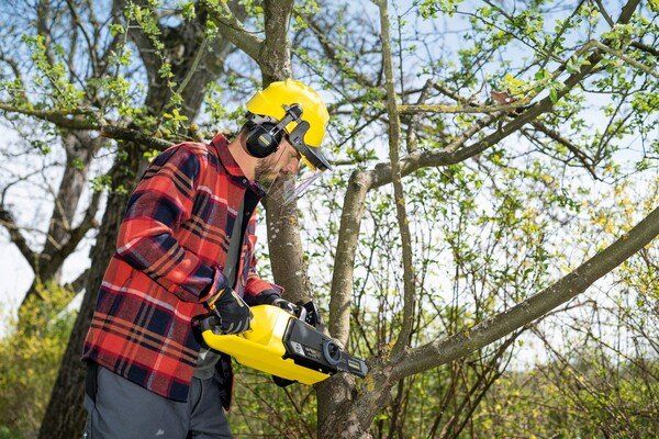 Комплект ланцюгова пила Karcher CNS 18-30 Battery, 18В, швидкозарядний комплект, акб 18В 5Ач
