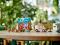 Конструктор LEGO Friends Крихітний мобільний будиночок