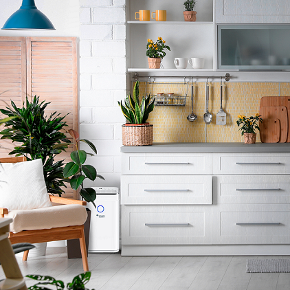 Осушувач повітря Mycond Roomer Smart 25 побутовий, 25л.на добу, 180м3/год, 50м2, дисплей, ел. кер-ня, Wi-Fi, таймер, авто вимк., білий