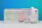 Гарнітура ігрова 2E GAMING HG315, 7.1, USB-A, RGB, 2м, білий
