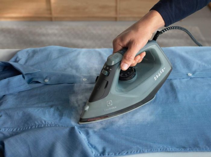 Праска Electrolux, 2400Вт, 250мл, паровий удар 110гр, керам. підошва, зелено-черний