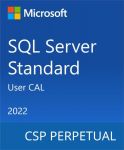 Програмний продукт Microsoft SQL Server 2022 - 1 User CAL