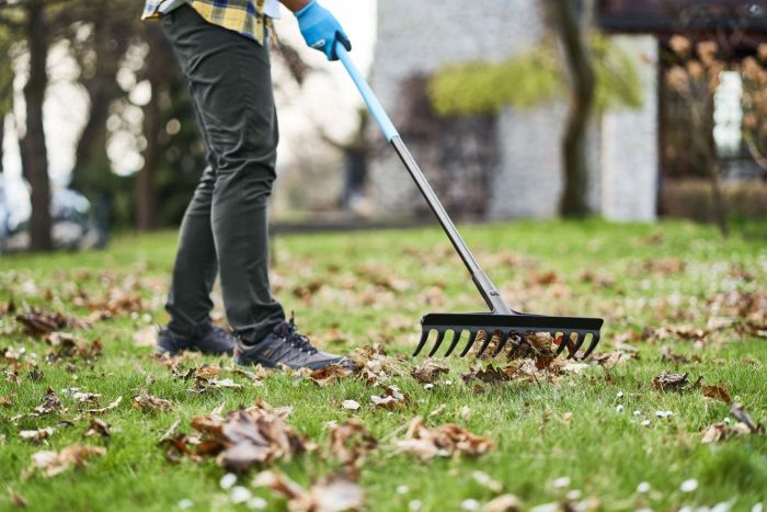 Граблі універсальні Cellfast IPRO, 12 зубців, ширина 41.2см, 168см, 0.8кг