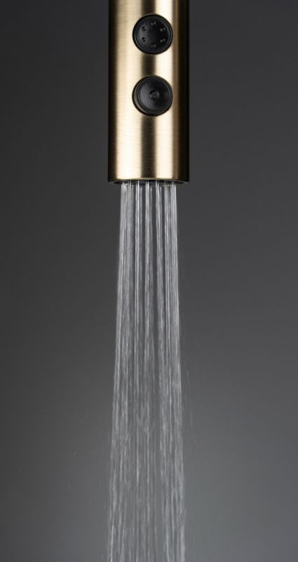 Набір для кухні Deante Olfato стальна мийка ZPO_R10A + зміш. BQO_R72M, брашоване золото