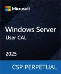 Програмний продукт Microsoft Windows Server 2025 - 1 User CAL