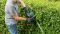 Кущоріз Bosch UniversalHedgeCut 50 480Вт 50см крок різу 26мм 3.67кг