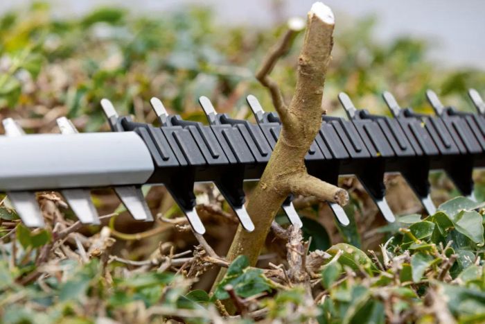 Кущоріз акумуляторний Bosch GHE 18V-60 18В 60мм крок різу 23мм 2.3кг без АКБ та ЗП