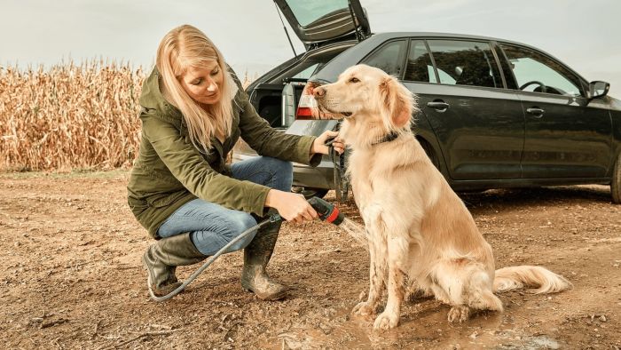 Мінімийка акумуляторна Bosch Fontus 18V 18В  20бар 386л/год 7.5кг без АКБ і ЗП