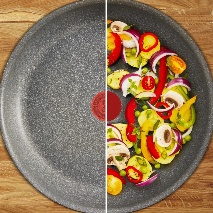 Сковорода Tefal Hard Stone, 26см, алюміній, бакеліт, сірий