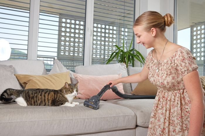 Пилосос Gorenje мішковий, 890Вт, 4л, HEPA, телескоп, LED-дисплей, турбощітка, чорний