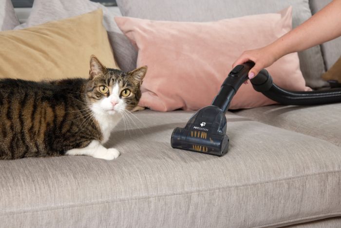 Пилосос Gorenje мішковий, 890Вт, 4л, HEPA, телескоп, LED-дисплей, турбощітка, чорний