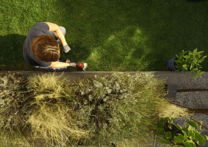 Ножиці для трави акумуляторні SKIL 0630 CA 20В акб 1х2.5А·год + насадка кущоріз 20см крок різу 8мм 1кг