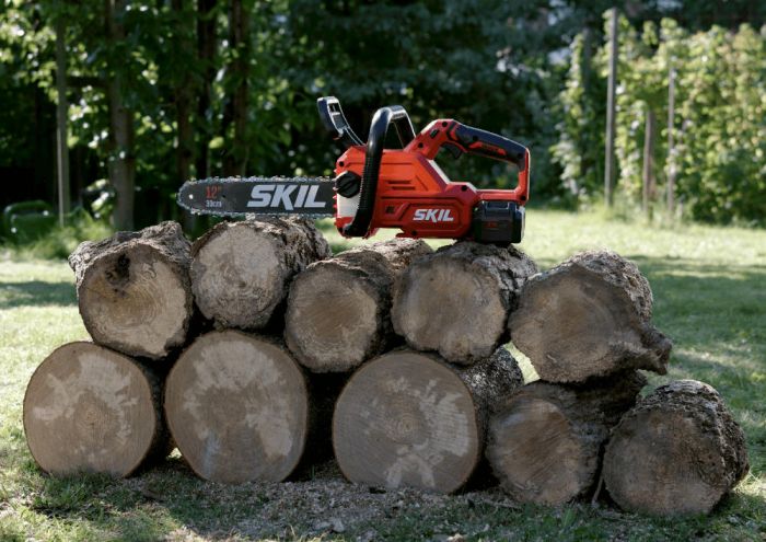 Пила ланцюгова акумуляторна SKIL 0534 CA безщіткова 20В акб 1х4А·год ЗП 30см 3.2кг