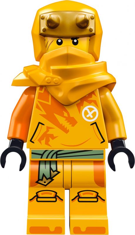 Конструктор LEGO Ninjago Молодий дракон Рію
