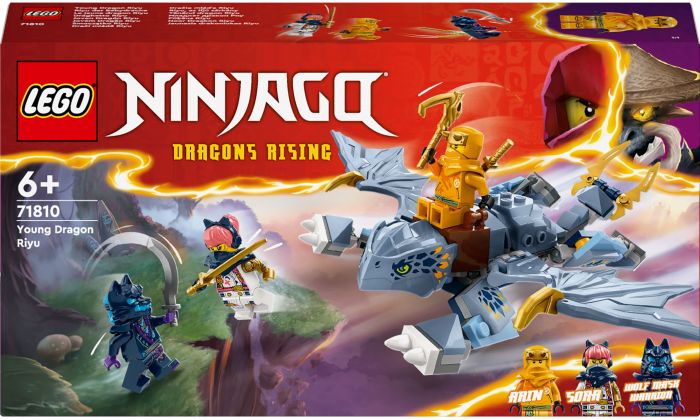 Конструктор LEGO Ninjago Молодий дракон Рію