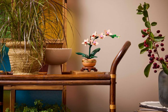 Конструктор LEGO Botanicals Міні орхідея
