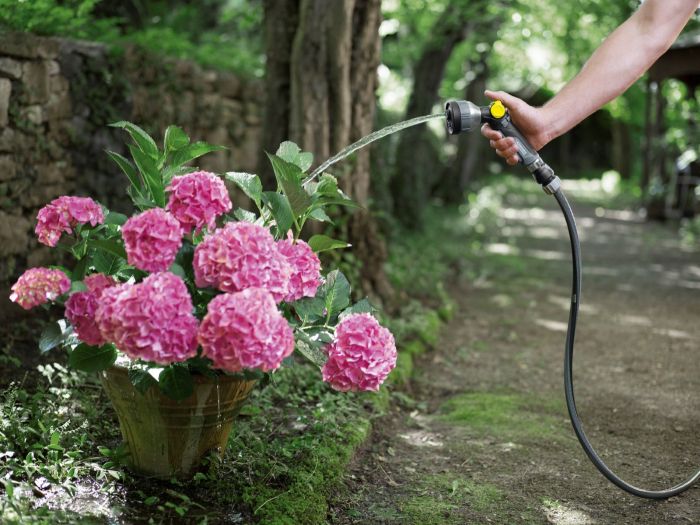 Шланг садовий Karcher Performance Premium 5/8" 25м 3 шари до 40бар -20…+65°C