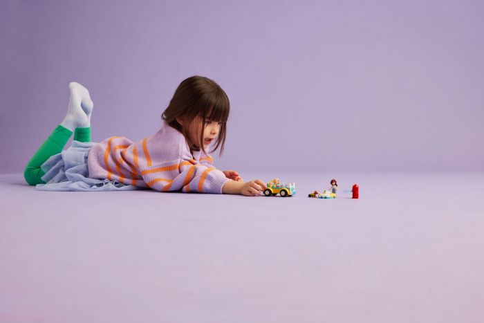 Конструктор LEGO Friends Авто собачого перукаря