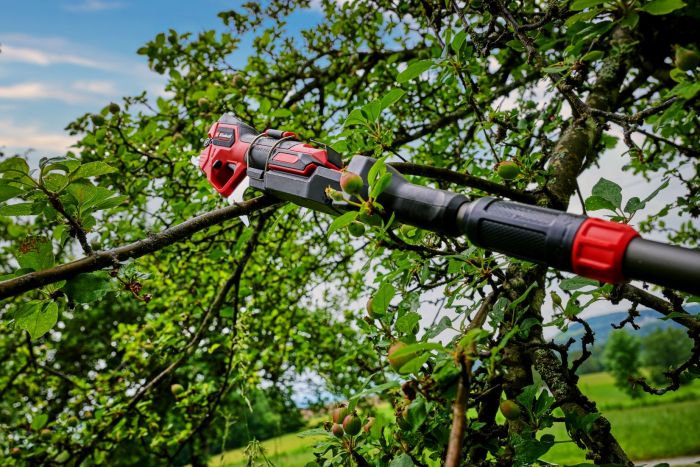 Секатор телескопічний акумуляторний Einhell GP-LS 18/28 Li T BL - Solo, PXC, 18В, безщітковий, товщ. 28/14 мм, сталь SK5, телескоп. ручка, 0.82 кг (без АКБ і ЗП)