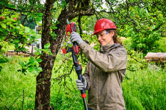 Секатор телескопічний акумуляторний Einhell GP-LS 18/28 Li T BL - Solo, PXC, 18В, безщітковий, товщ. 28/14 мм, сталь SK5, телескоп. ручка, 0.82 кг (без АКБ і ЗП)
