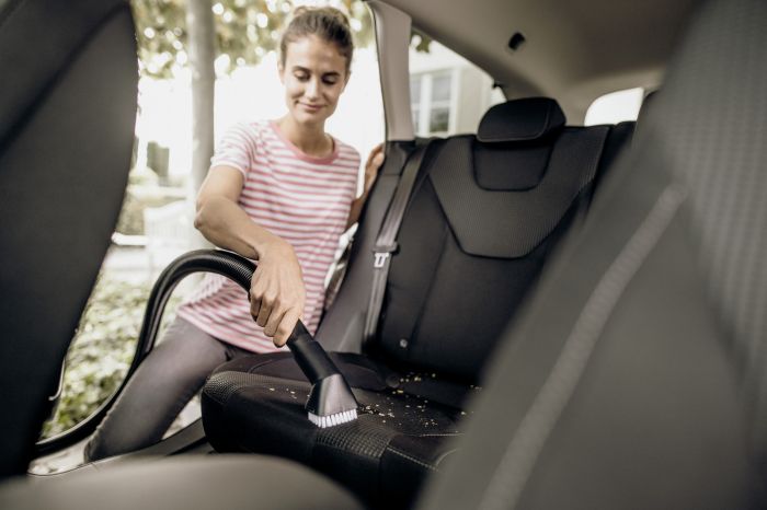 Комплект насадок щіток Karcher, 2шт, (WD 2-6, WD 7, SE 4-5)