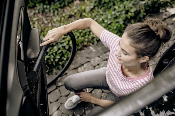 Комплект насадок щіток Karcher, 2шт, (WD 2-6, WD 7, SE 4-5)