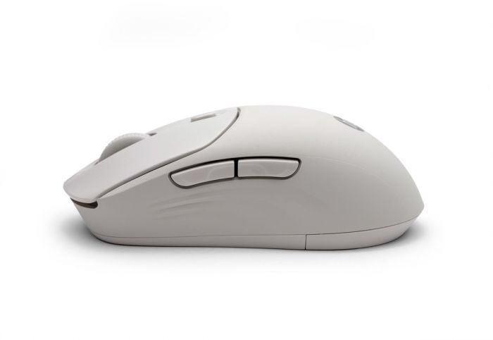 Миша HP 400 Quiet, WL/BT, maple