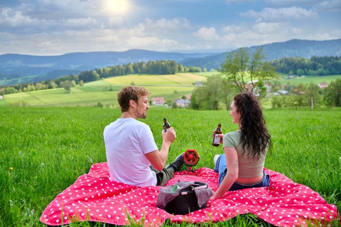 Вентилятор акумуляторний Einhell GC-CF 18/110 Li - Solo, PXC, 18В, безщітковий, діам. 110 мм, 1500 м3/год, 3 режими, 0.48 кг (без АКБ і ЗП)