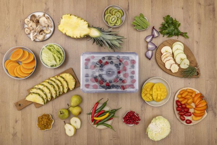 Сушарка для продуктів Gorenje 230Вт, піддонів - 5x2.8см, діаметр - 29см, макс - 75°С, електр.упр,білий