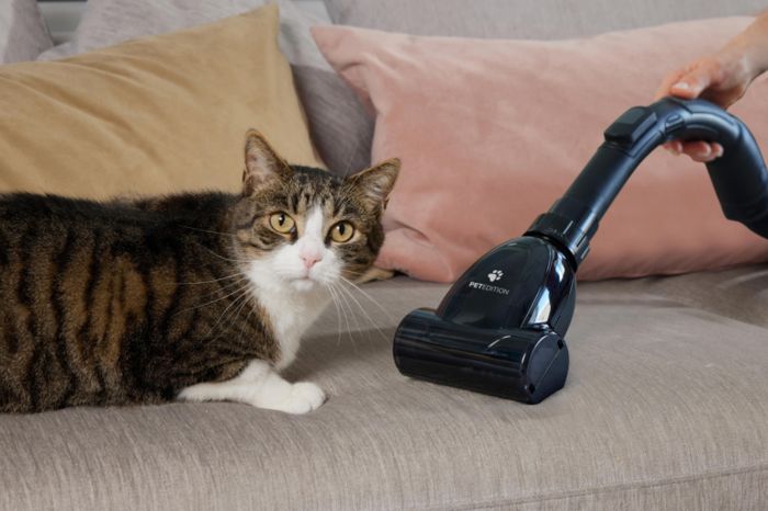 Пилосос Gorenje контейнерний, 850Вт, конт пил -3.3л, HEPA, телескоп трубка, сенсорне упр, бронзовий