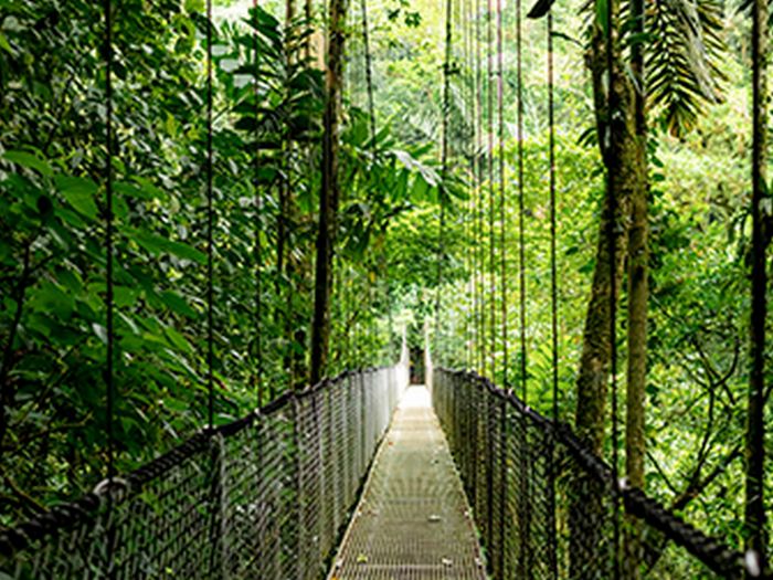 Ноутбук HP Probook 4-G1a 16" WUXGA IPS, AMD R5-230, 16GB, F1024GB, UMA, DOS, сріблястий