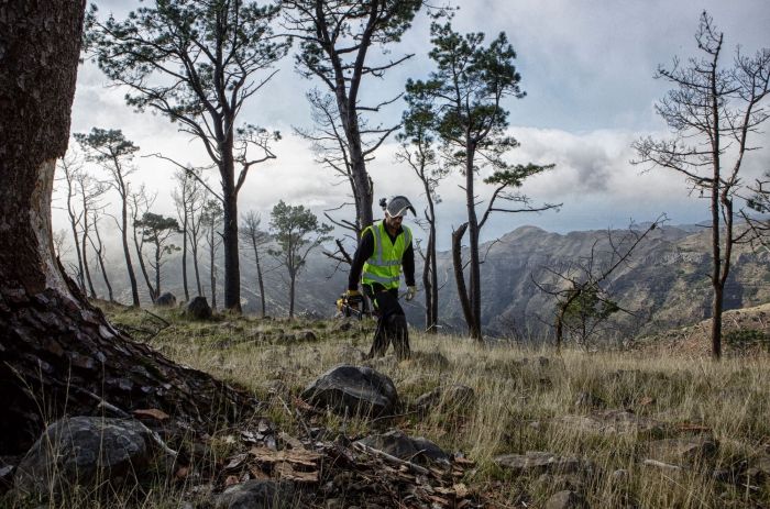 Пила ланцюгова акумуляторна DeWalt 18В шина 30см 3/8" без АКБ та ЗП