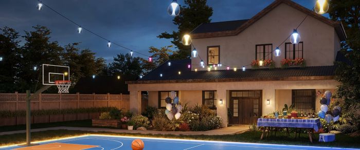 Набір світлодіодних ламп Govee H7025 Outdoor Clear Bulb String Lights, 15м, RGBIC/Warm White, WI-FI/Bluetooth, чорний