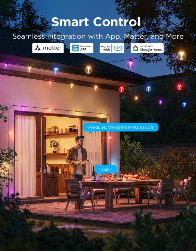Набір світлодіодних ламп Govee H7025 Outdoor Clear Bulb String Lights, 15м, RGBIC/Warm White, WI-FI/Bluetooth, чорний