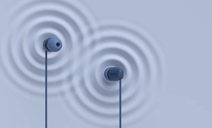 Навушники In-ear Sony IER-EX15C USB-C, Mic, Синій