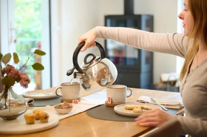 Чайник зі свистком Tefal Duetto+, 2.5л, нержавіюча сталь, сталевий, чорний