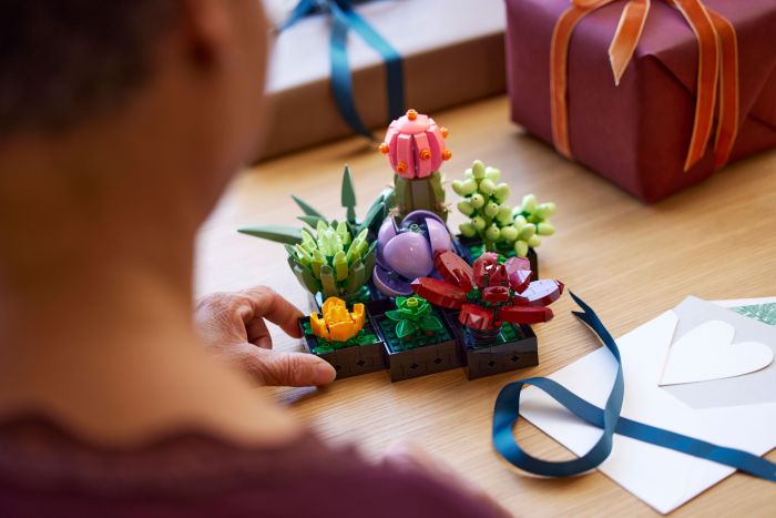Конструктор LEGO Botanicals Сукуленти
