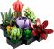 Конструктор LEGO Botanicals Сукуленти