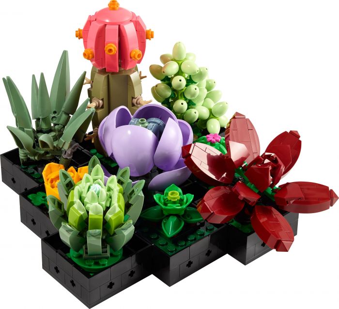 Конструктор LEGO Botanicals Сукуленти